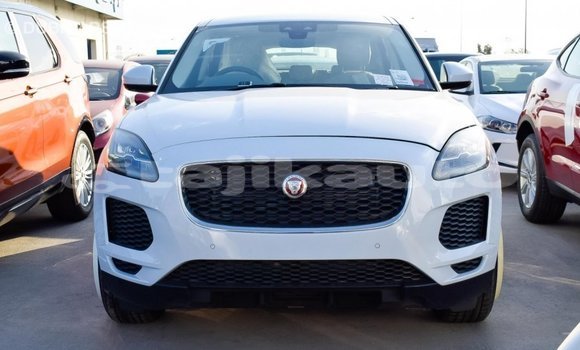 Buy Import Jaguar E-Pace White Car in Import - Dubai in Dushanbe Buy Import Jaguar E-Pace White Car in Import - Dubai in Dushanbe