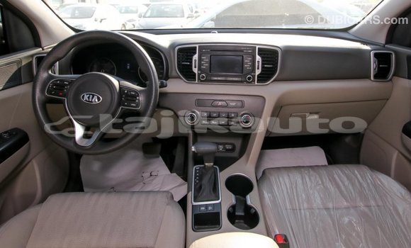Buy Import Kia Sportage Other Car in Import - Dubai in Dushanbe Buy Import Kia Sportage Other Car in Import - Dubai in Dushanbe