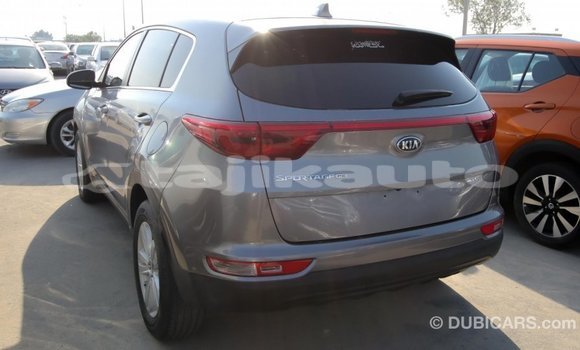 Buy Import Kia Sportage Other Car in Import - Dubai in Dushanbe Buy Import Kia Sportage Other Car in Import - Dubai in Dushanbe