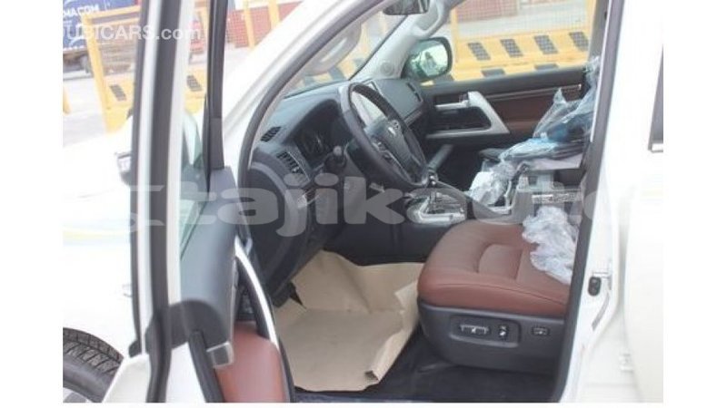 Big with watermark 3151cf38 3178 47a8 924b c5564fa76cad