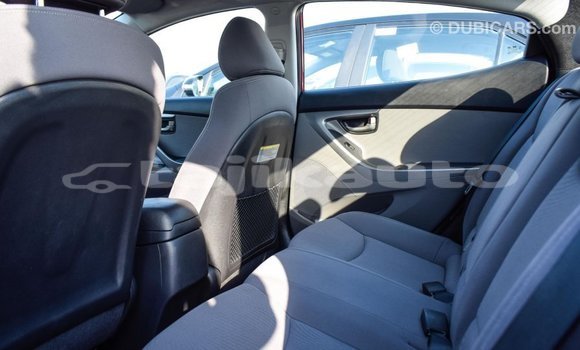 Buy Import Hyundai Elantra Red Car in Import - Dubai in Dushanbe Buy Import Hyundai Elantra Red Car in Import - Dubai in Dushanbe
