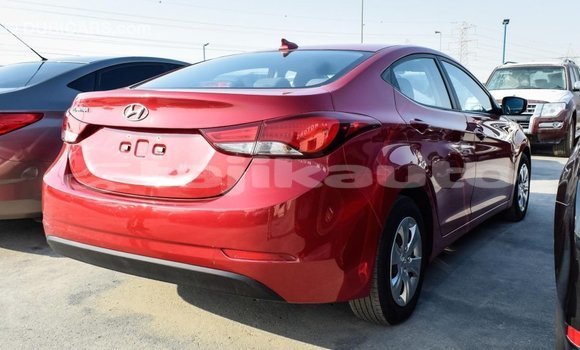 Buy Import Hyundai Elantra Red Car in Import - Dubai in Dushanbe Buy Import Hyundai Elantra Red Car in Import - Dubai in Dushanbe