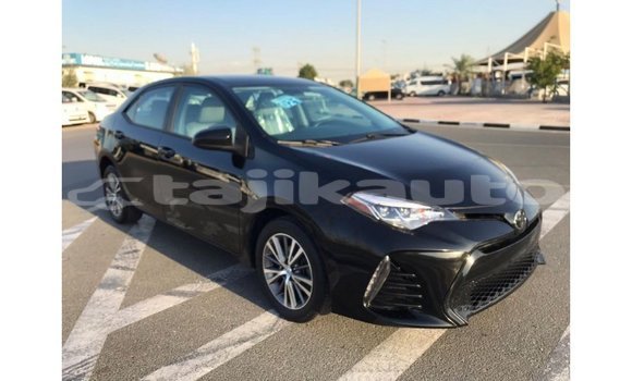 Buy Import Toyota Corolla Black Car in Import - Dubai in Dushanbe Buy Import Toyota Corolla Black Car in Import - Dubai in Dushanbe
