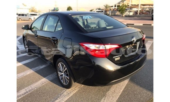 Buy Import Toyota Corolla Black Car in Import - Dubai in Dushanbe Buy Import Toyota Corolla Black Car in Import - Dubai in Dushanbe