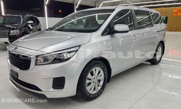 Buy Import Kia Carnival Other Car in Import - Dubai in Dushanbe Buy Import Kia Carnival Other Car in Import - Dubai in Dushanbe