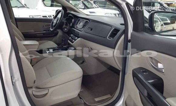 Buy Import Kia Carnival Other Car in Import - Dubai in Dushanbe Buy Import Kia Carnival Other Car in Import - Dubai in Dushanbe