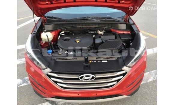 Buy Import Hyundai Tucson Red Car in Import - Dubai in Dushanbe Buy Import Hyundai Tucson Red Car in Import - Dubai in Dushanbe