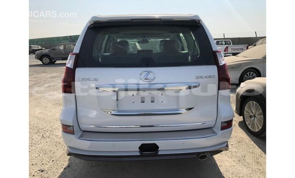 Buy Import Lexus GX White Car in Import - Dubai in Dushanbe Buy Import Lexus GX White Car in Import - Dubai in Dushanbe