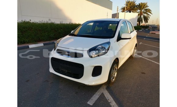 Buy Import Kia Picanto White Car in Import - Dubai in Dushanbe Buy Import Kia Picanto White Car in Import - Dubai in Dushanbe