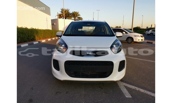 Buy Import Kia Picanto White Car in Import - Dubai in Dushanbe Buy Import Kia Picanto White Car in Import - Dubai in Dushanbe