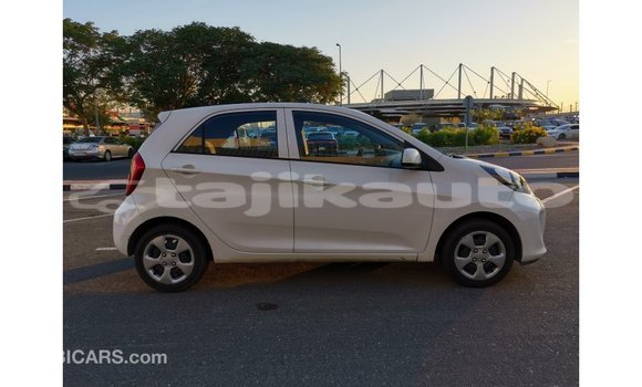 Buy Import Kia Picanto White Car in Import - Dubai in Dushanbe Buy Import Kia Picanto White Car in Import - Dubai in Dushanbe