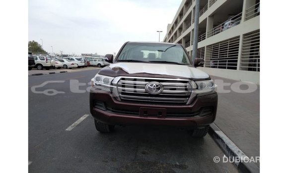 Buy Import Toyota Land Cruiser Brown Car in Import - Dubai in Dushanbe Buy Import Toyota Land Cruiser Brown Car in Import - Dubai in Dushanbe