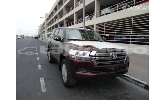 Buy Import Toyota Land Cruiser Brown Car in Import - Dubai in Dushanbe Buy Import Toyota Land Cruiser Brown Car in Import - Dubai in Dushanbe