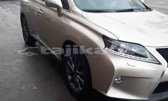 Buy Used Lexus RX 350 Silver Car in Dushanbe in Dushanbe Buy Used Lexus RX 350 Silver Car in Dushanbe in Dushanbe