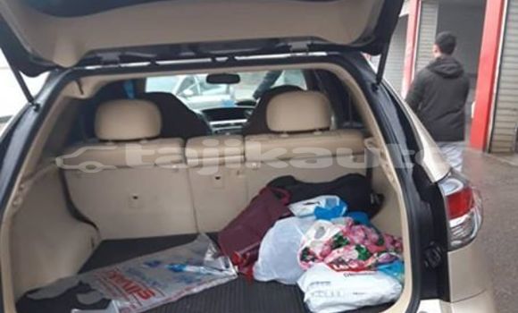 Buy Used Lexus RX 350 Silver Car in Dushanbe in Dushanbe Buy Used Lexus RX 350 Silver Car in Dushanbe in Dushanbe