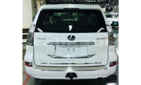 Buy Import Lexus GX White Car in Import - Dubai in Dushanbe Buy Import Lexus GX White Car in Import - Dubai in Dushanbe