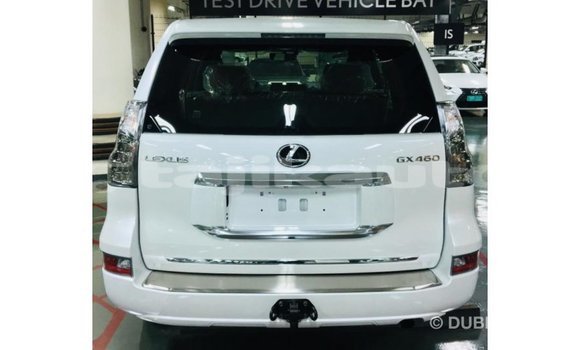 Buy Import Lexus GX White Car in Import - Dubai in Dushanbe Buy Import Lexus GX White Car in Import - Dubai in Dushanbe