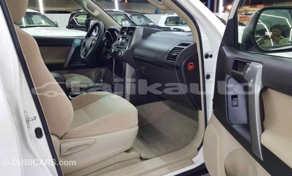 Buy Import Toyota Prado White Car in Import - Dubai in Dushanbe Buy Import Toyota Prado White Car in Import - Dubai in Dushanbe