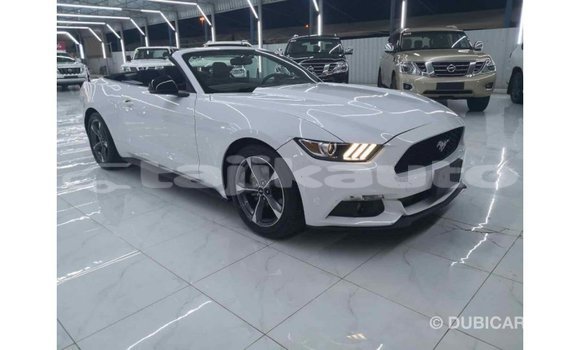 Buy Import Ford Mustang White Car in Import - Dubai in Dushanbe Buy Import Ford Mustang White Car in Import - Dubai in Dushanbe