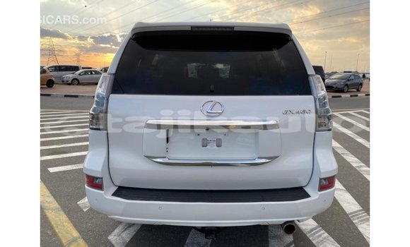 Buy Import Lexus GX White Car in Import - Dubai in Dushanbe Buy Import Lexus GX White Car in Import - Dubai in Dushanbe