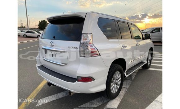 Buy Import Lexus GX White Car in Import - Dubai in Dushanbe Buy Import Lexus GX White Car in Import - Dubai in Dushanbe