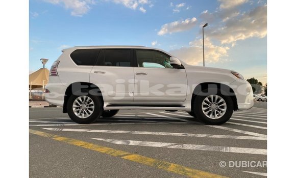 Buy Import Lexus GX White Car in Import - Dubai in Dushanbe Buy Import Lexus GX White Car in Import - Dubai in Dushanbe