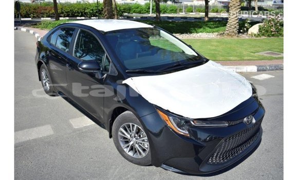Buy Import Toyota Corolla Black Car in Import - Dubai in Dushanbe Buy Import Toyota Corolla Black Car in Import - Dubai in Dushanbe