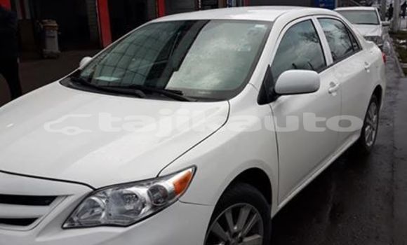 Buy Used Toyota Corolla White Car in Dushanbe in Dushanbe Buy Used Toyota Corolla White Car in Dushanbe in Dushanbe