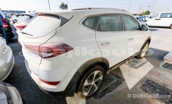 Buy Import Hyundai Tucson White Car in Import - Dubai in Dushanbe Buy Import Hyundai Tucson White Car in Import - Dubai in Dushanbe