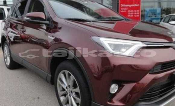 Buy Used Toyota RAV4 Red Car in Dushanbe in Dushanbe