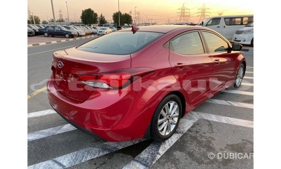 Buy Import Hyundai Elantra Red Car in Import - Dubai in Dushanbe Buy Import Hyundai Elantra Red Car in Import - Dubai in Dushanbe