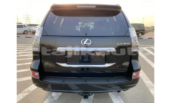 Buy Import Lexus GX Black Car in Import - Dubai in Dushanbe Buy Import Lexus GX Black Car in Import - Dubai in Dushanbe