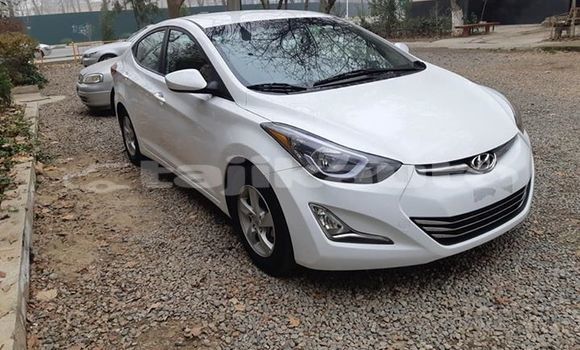 Buy Used Hyundai Elantra White Car in Dushanbe in Dushanbe