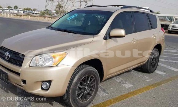 Buy Import Toyota RAV4 Other Car in Import - Dubai in Dushanbe Buy Import Toyota RAV4 Other Car in Import - Dubai in Dushanbe