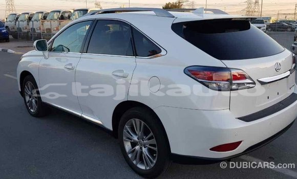 Buy Import Lexus RX 350 White Car in Import - Dubai in Dushanbe Buy Import Lexus RX 350 White Car in Import - Dubai in Dushanbe