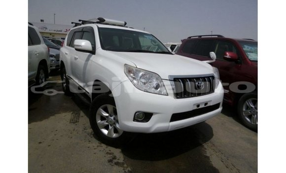 Buy Import Toyota Prado White Car in Import - Dubai in Dushanbe Buy Import Toyota Prado White Car in Import - Dubai in Dushanbe