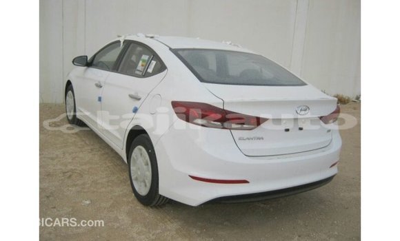 Buy Import Hyundai Elantra White Car in Import - Dubai in Dushanbe