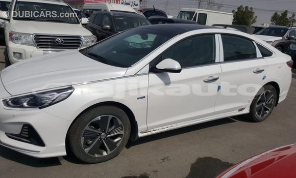 Buy Import Hyundai Sonata White Car in Import - Dubai in Dushanbe Buy Import Hyundai Sonata White Car in Import - Dubai in Dushanbe