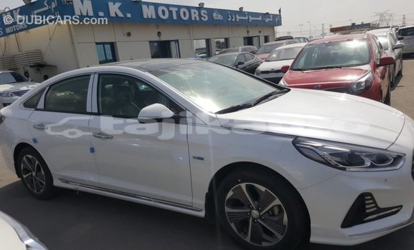 Buy Import Hyundai Sonata White Car in Import - Dubai in Dushanbe Buy Import Hyundai Sonata White Car in Import - Dubai in Dushanbe