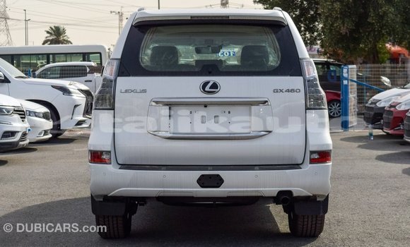 Buy Import Lexus GX White Car in Import - Dubai in Dushanbe Buy Import Lexus GX White Car in Import - Dubai in Dushanbe