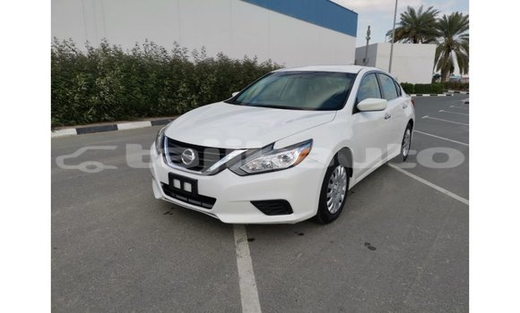 Buy Import Nissan Altima White Car in Import - Dubai in Dushanbe Buy Import Nissan Altima White Car in Import - Dubai in Dushanbe