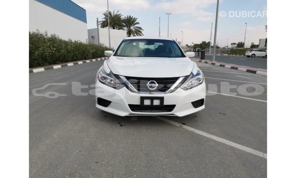 Buy Import Nissan Altima White Car in Import - Dubai in Dushanbe Buy Import Nissan Altima White Car in Import - Dubai in Dushanbe