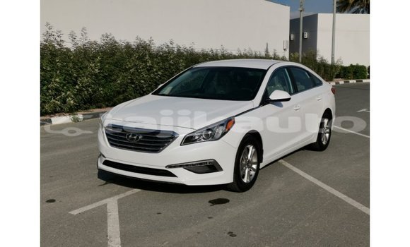 Buy Import Hyundai Sonata White Car in Import - Dubai in Dushanbe Buy Import Hyundai Sonata White Car in Import - Dubai in Dushanbe