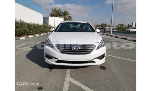 Buy Import Hyundai Sonata White Car in Import - Dubai in Dushanbe Buy Import Hyundai Sonata White Car in Import - Dubai in Dushanbe