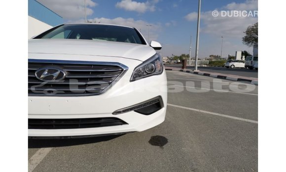 Buy Import Hyundai Sonata White Car in Import - Dubai in Dushanbe Buy Import Hyundai Sonata White Car in Import - Dubai in Dushanbe