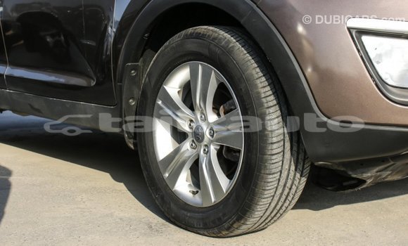 Buy Import Kia Sportage Brown Car in Import - Dubai in Dushanbe