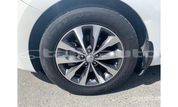 Buy Import Kia Carnival White Car in Import - Dubai in Dushanbe Buy Import Kia Carnival White Car in Import - Dubai in Dushanbe