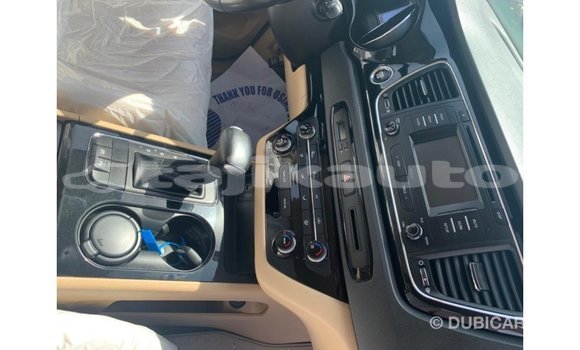 Buy Import Kia Carnival White Car in Import - Dubai in Dushanbe Buy Import Kia Carnival White Car in Import - Dubai in Dushanbe