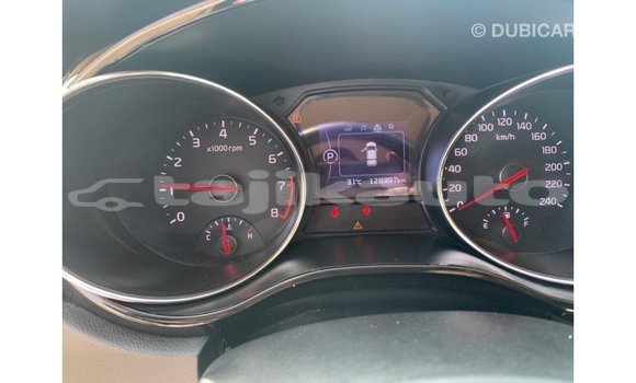 Buy Import Kia Carnival White Car in Import - Dubai in Dushanbe Buy Import Kia Carnival White Car in Import - Dubai in Dushanbe