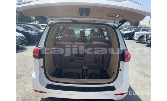 Buy Import Kia Carnival White Car in Import - Dubai in Dushanbe Buy Import Kia Carnival White Car in Import - Dubai in Dushanbe